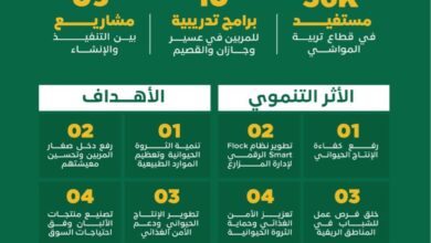 المملكة: إنشاء 7 مجمعات نموذجية للإنتاج الحيواني لدعم 56 ألف مستفيد بأنحاء المملكة