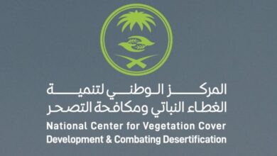 المملكة: 7000 وظيفة متوقعة ضمن 142 فرصة استثمارية بـ"الغطاء النباتي"